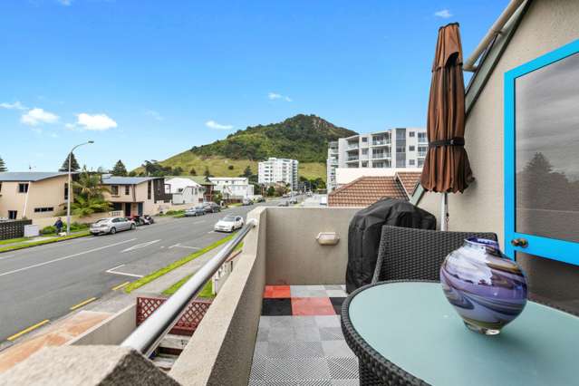 17a Commons Avenue Mount Maunganui_2