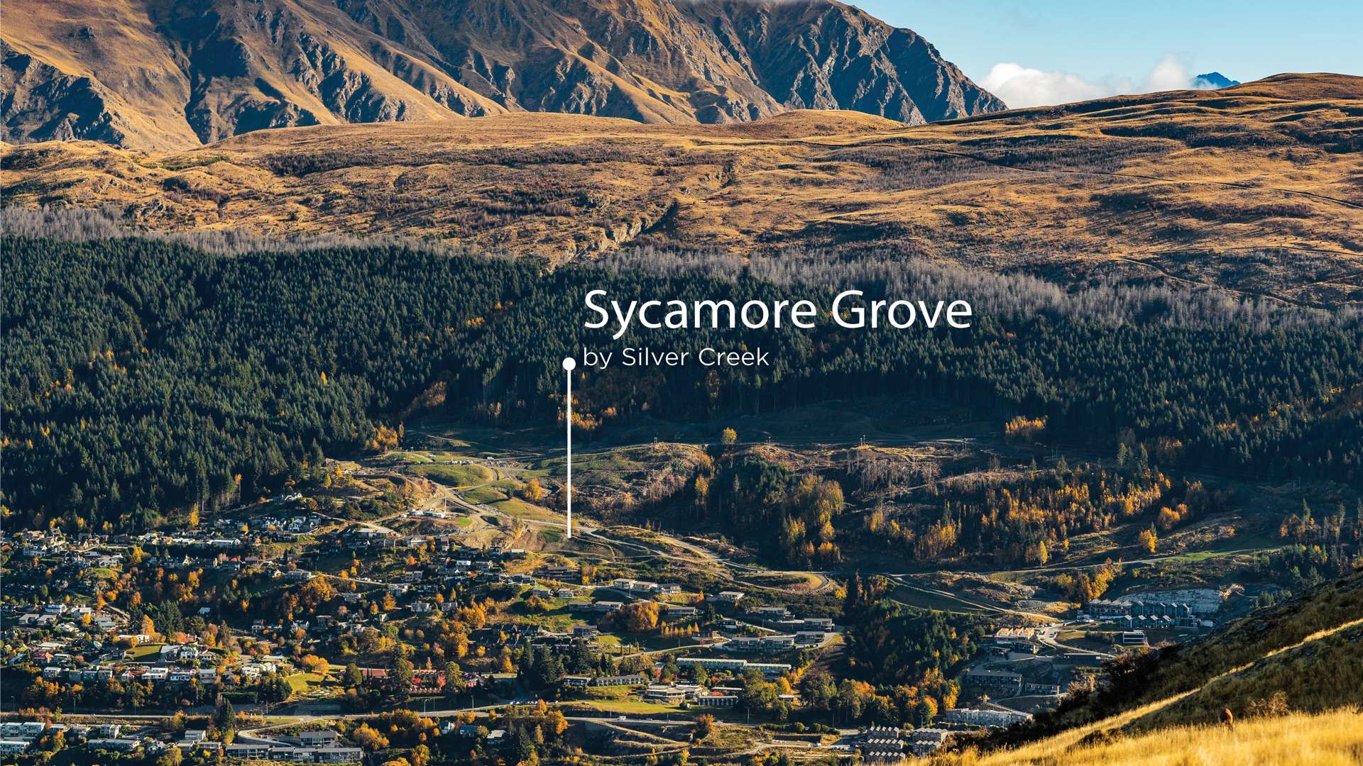 Sycamore Grove Goldfield Heights_0