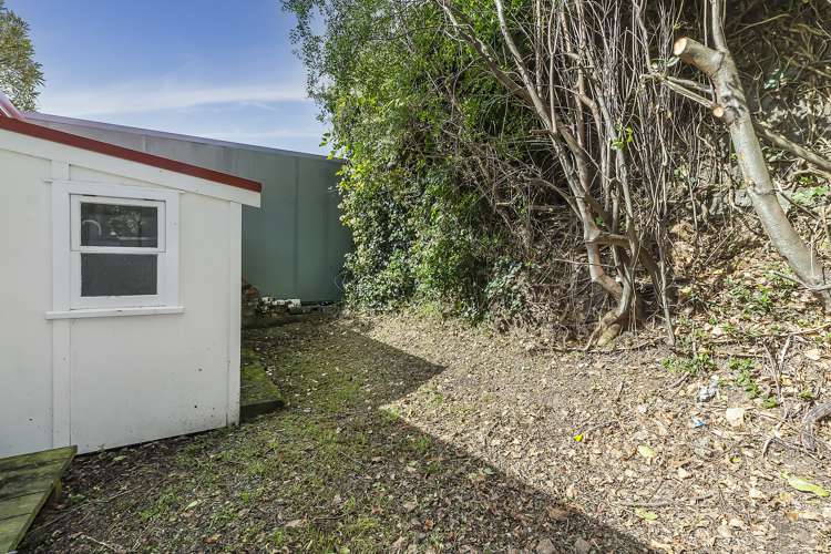 115 Aro Street Aro Valley_10