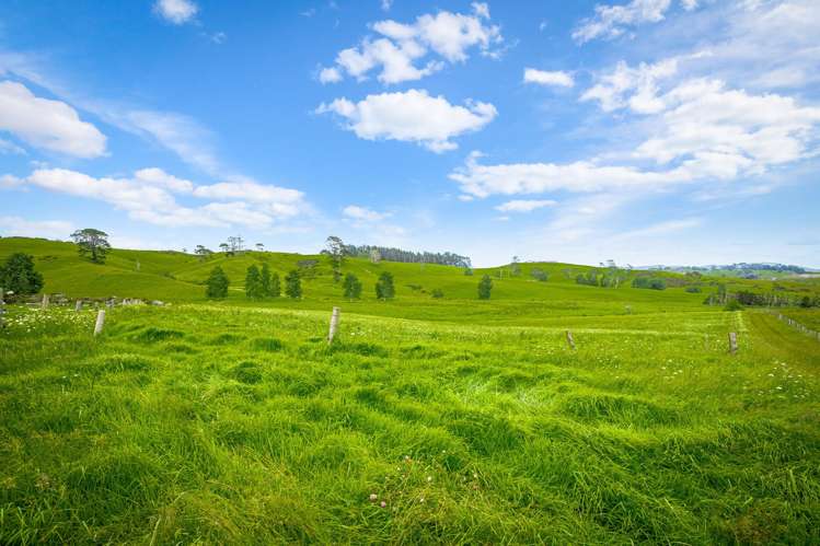 515 Kahikatea Flat Road Waitoki_43