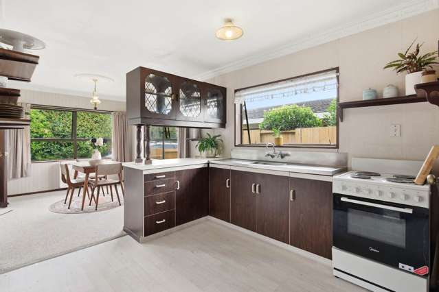 93B Fifteenth Avenue Tauranga Central_3