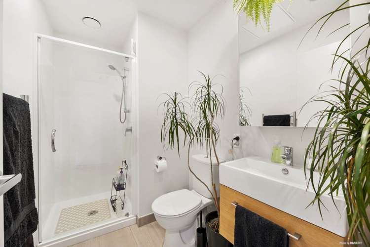 09/3g Bluegrey Avenue Stonefields_3