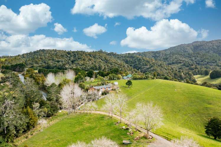 365 Pigs Head Road Hukerenui and Surrounds_14