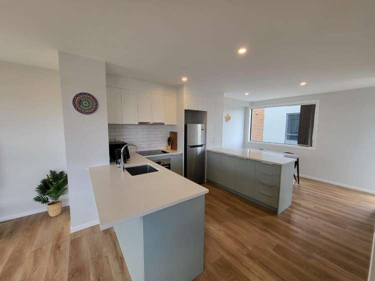 1 Pukakaho Lane 10695_3