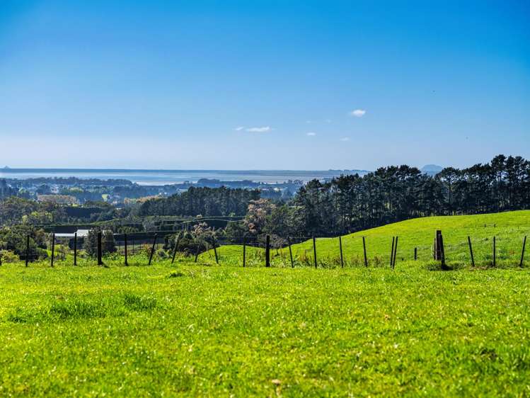 383 Busby Road Katikati_30