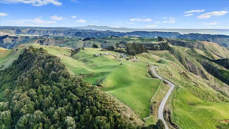 1535 Taumatamaire Road Awakino_14