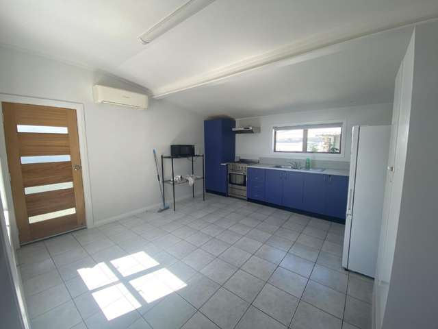 259 Adelaide Road Newtown_2