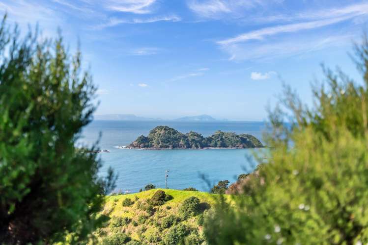 Lot 1 361 Rockell Road Whananaki_10