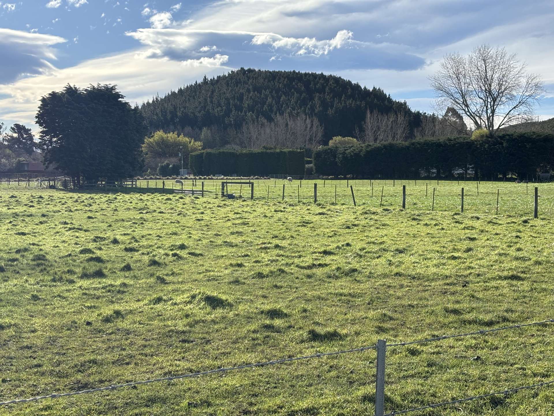 Murray Road Pukeuri_0