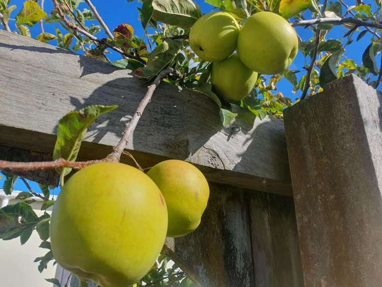 1163 Number 2 Line Fordell Whanganui Houses for Sale One Roof