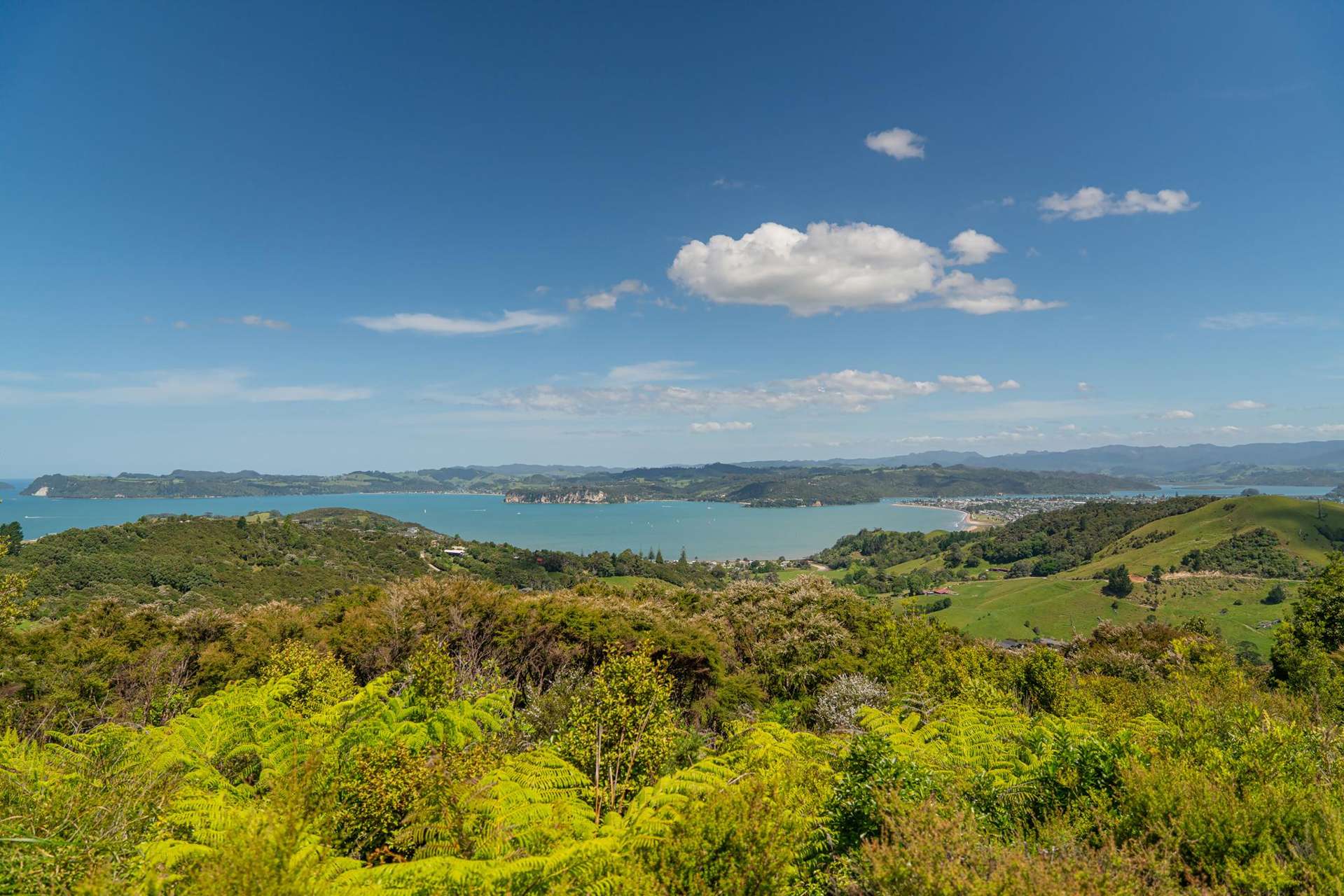 57 Tarapatiki Drive Whitianga_0