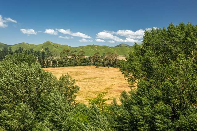 Waiapu Road Tolaga Bay_1