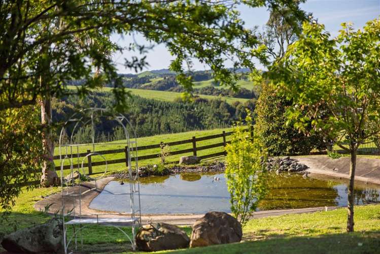 1622 Te Matai Road Te Ranga_19