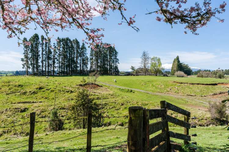 262 Ruatiti Road Raetihi_17