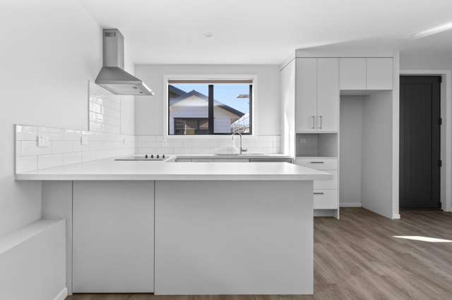 2/55 Mahoe Street 1107_1