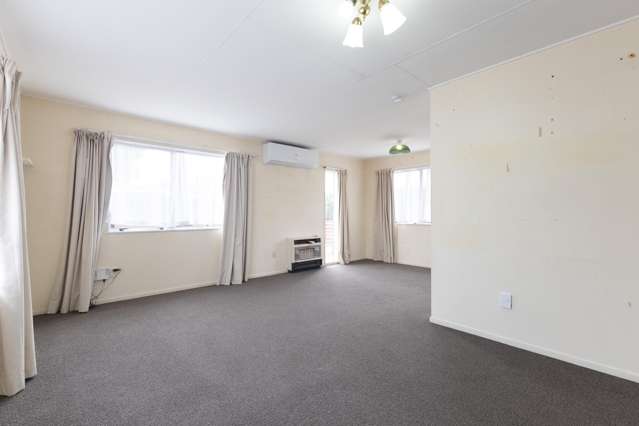 29 Rata Street Roslyn_1