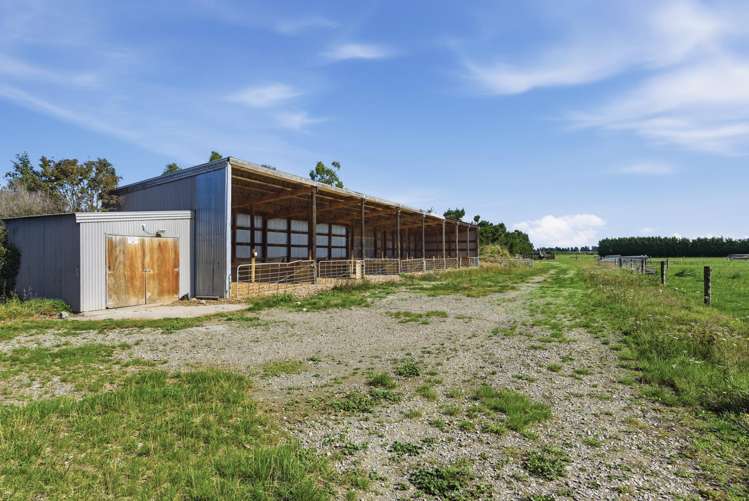 263 Domain Road Oxford_15