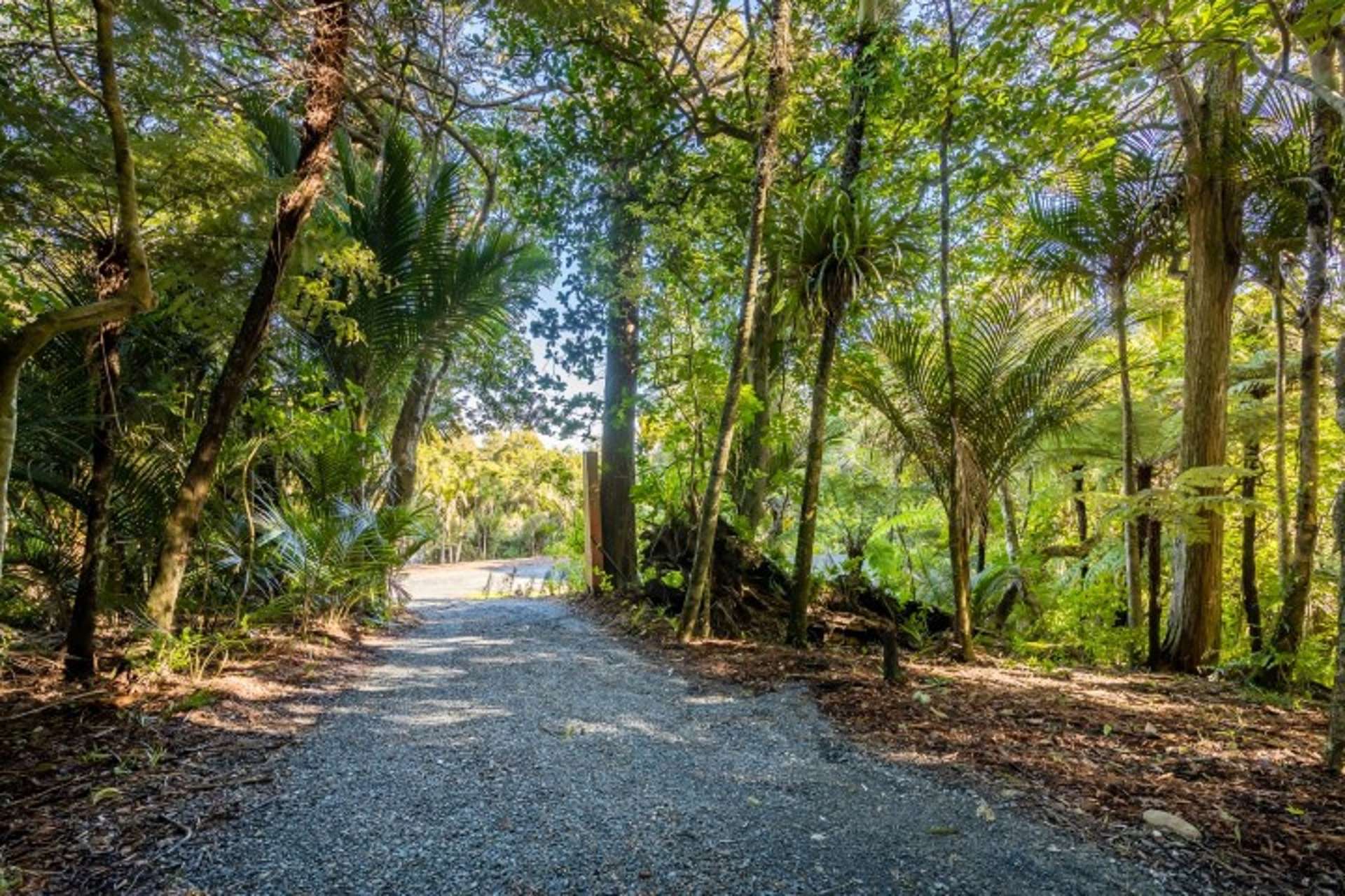 98 Hinau Road Waimauku_0