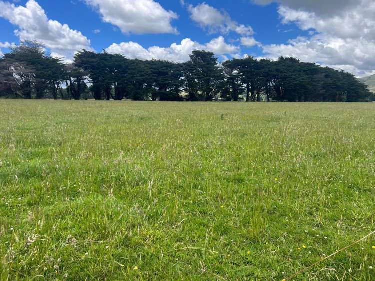 220 Larsen Road Eketahuna_6