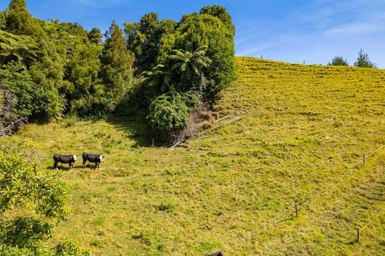 29 Whakapaki Street Urenui_33