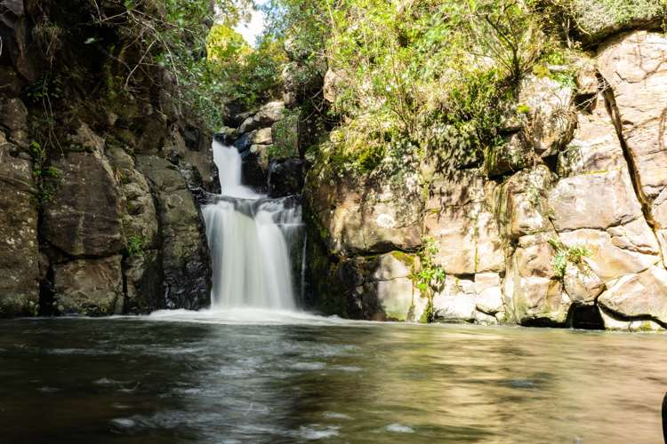 448 Taita Road Waimamaku_16