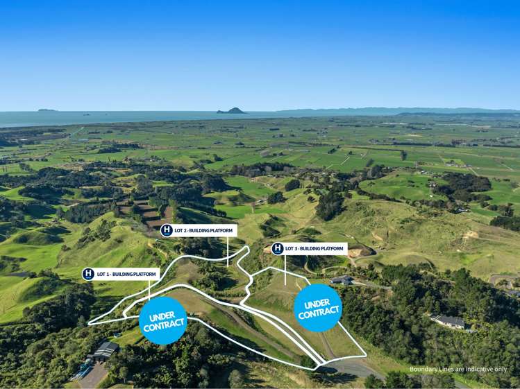 220 Withy Road Manawahe_20