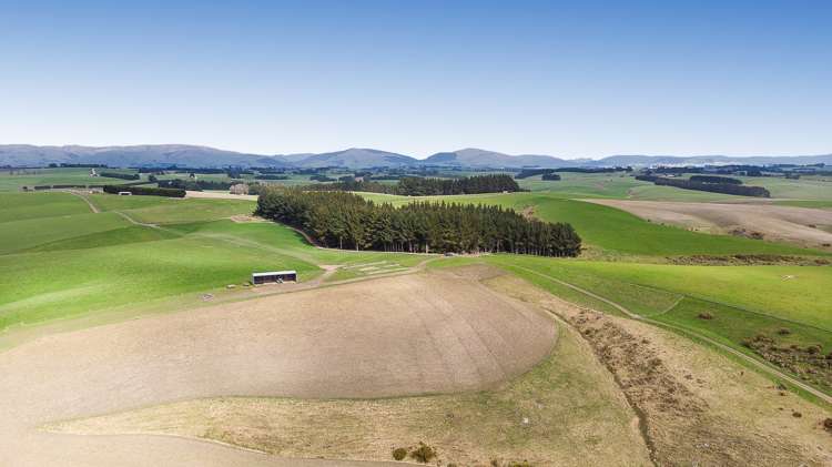 675 Black Bridge Road Clutha_17