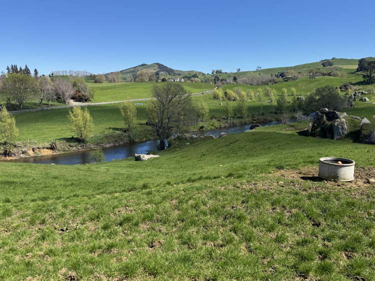 258 Wharepapa South Road Te Awamutu_9