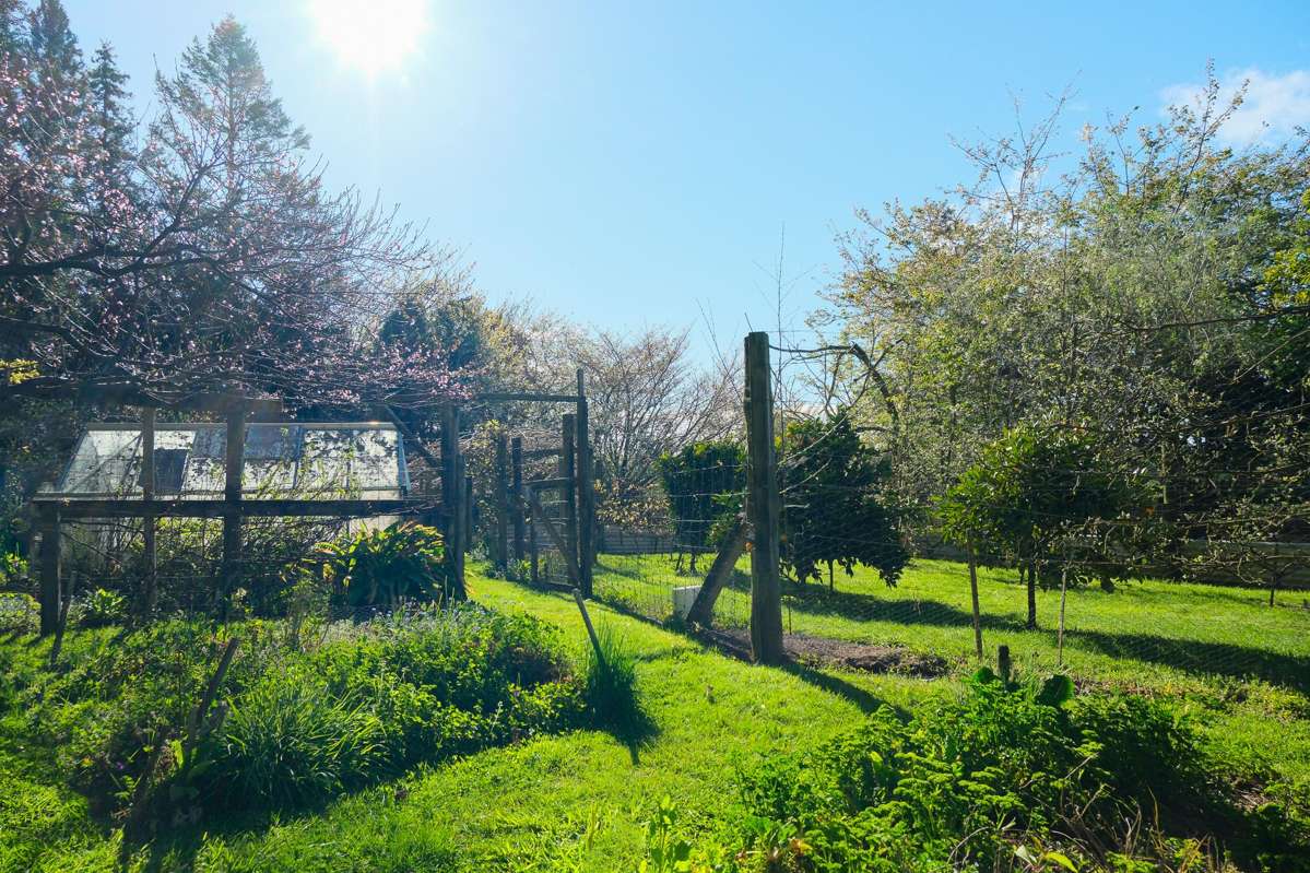 442 Te Waerenga Road_5