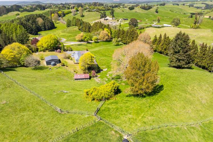 344 Palmer Mill Road Wairakei_28