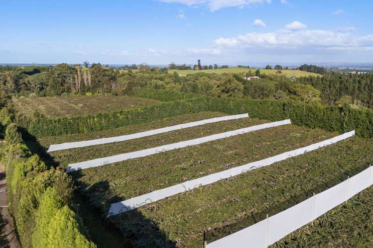 416 State Highway 2 Katikati_15