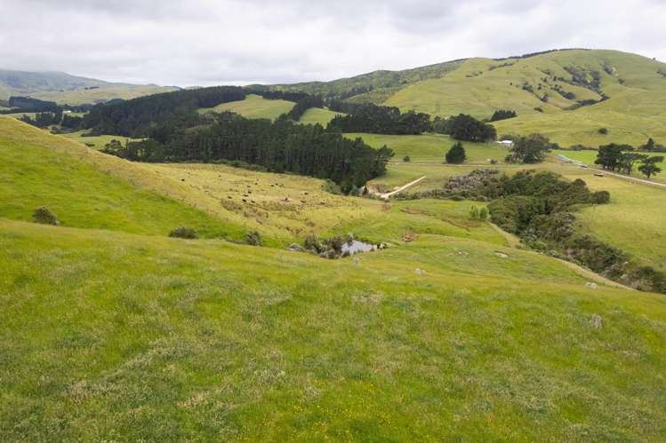 83 Towai Road Dannevirke_19