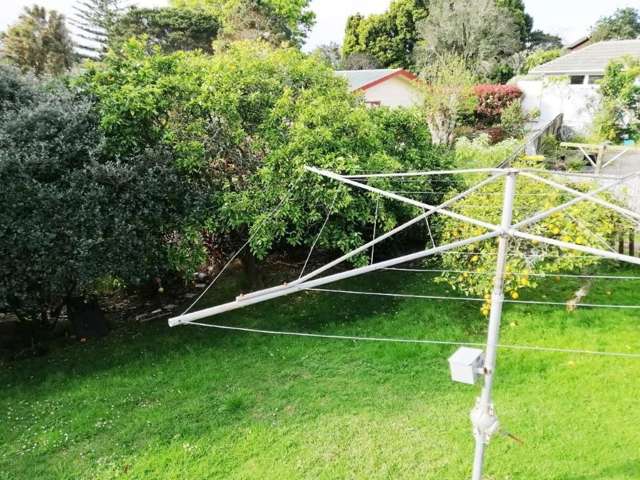 10 Paramu Avenue Birkdale_4