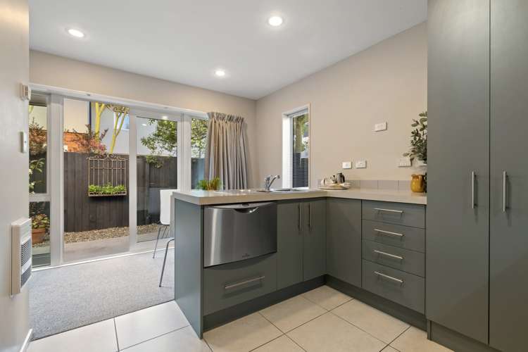 43 Walton Street Sydenham_9