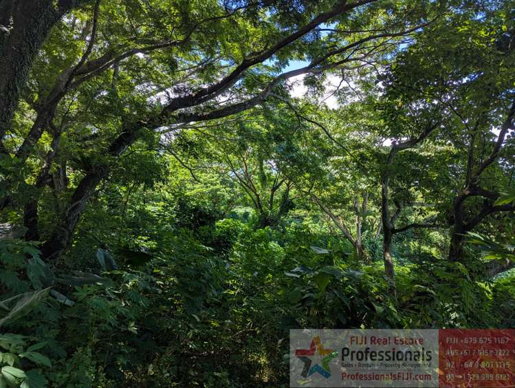 Address withheld Taveuni_5