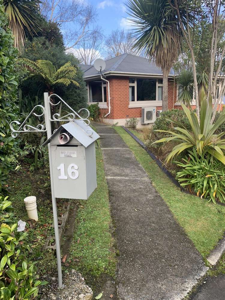 16 Craigleith Street North East Valley_20