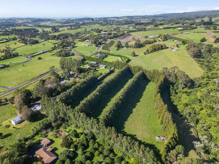 482B Esdaile Road Whakamarama_16