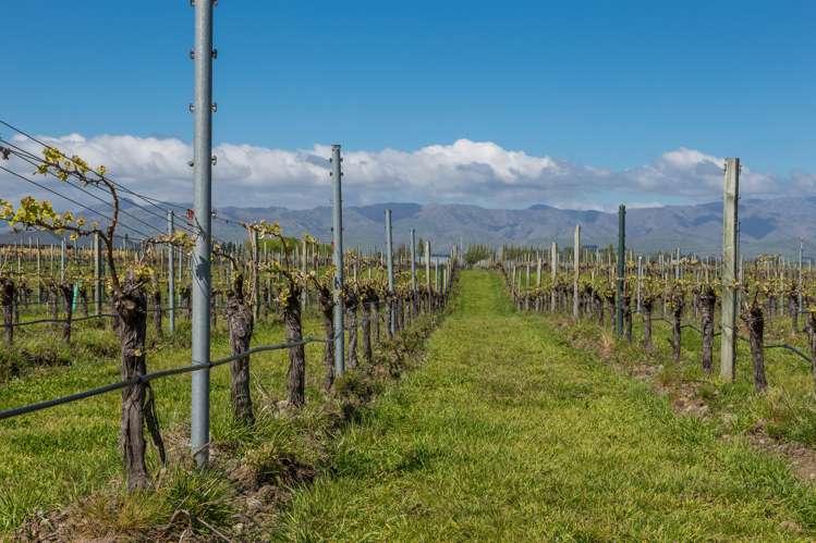 15 Boyces Road Rapaura_8