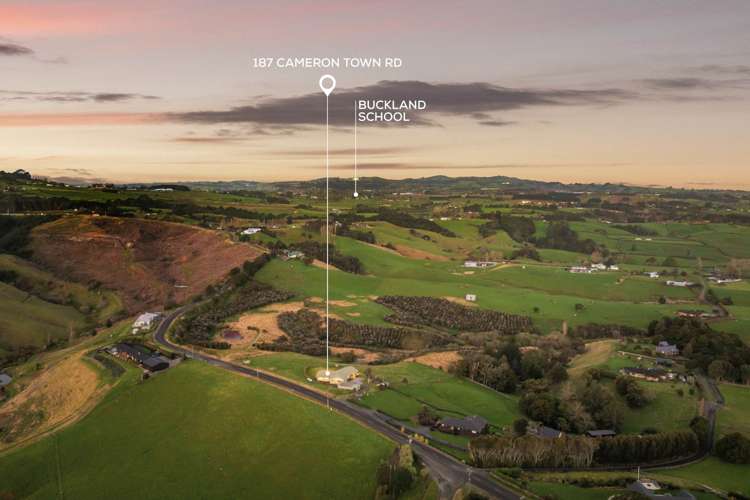 187 Cameron Town Road Pukekohe_28
