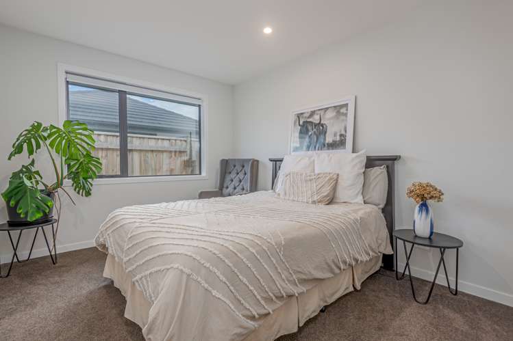 11 Monarch Drive Ashhurst_11