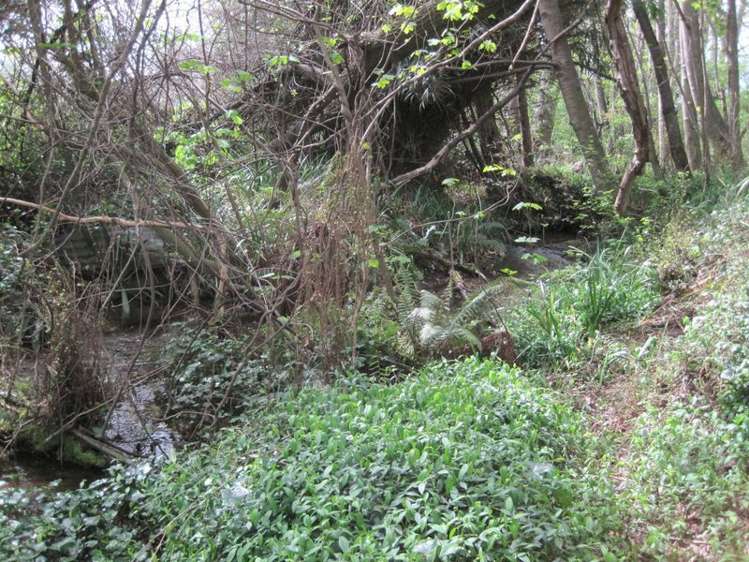 77 Main North Road Geraldine_24