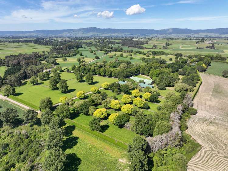 136 Wells Road Okoroire_3