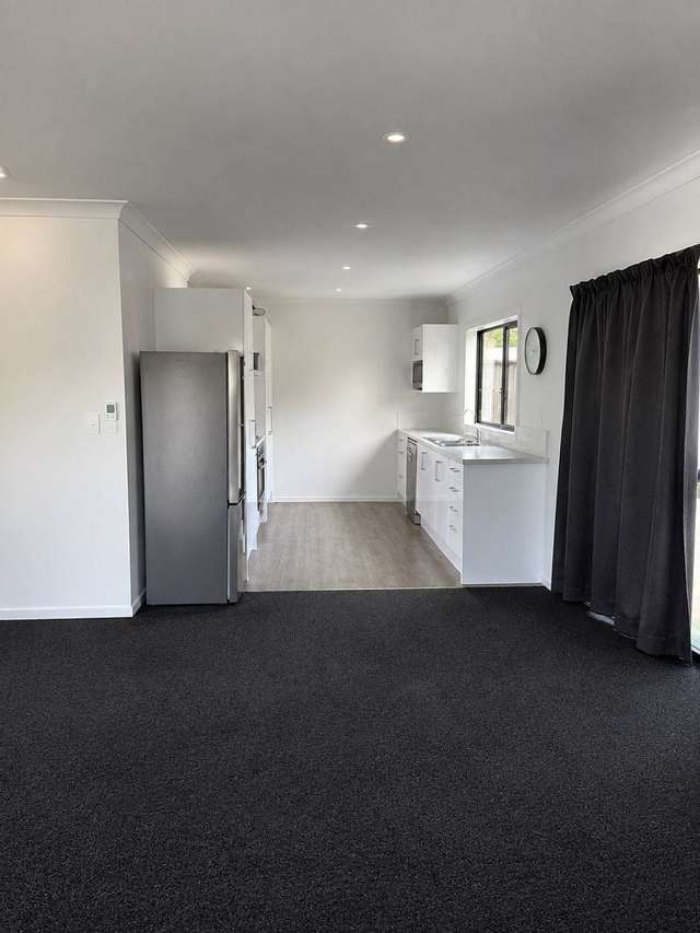 1A Craig Crescent Morrinsville_1