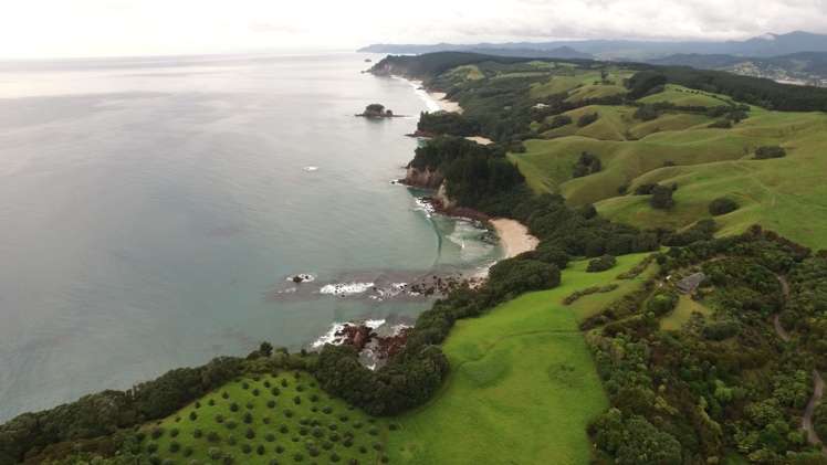 339 Onemana Drive Onemana_7