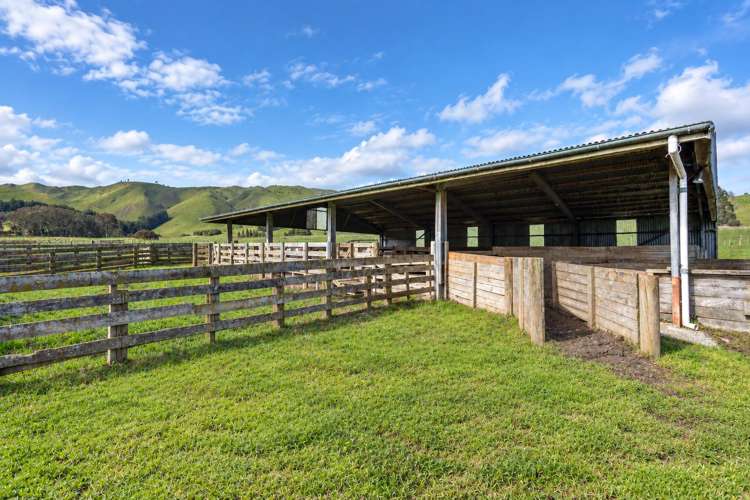 558 Pukeatua Road Dannevirke_11