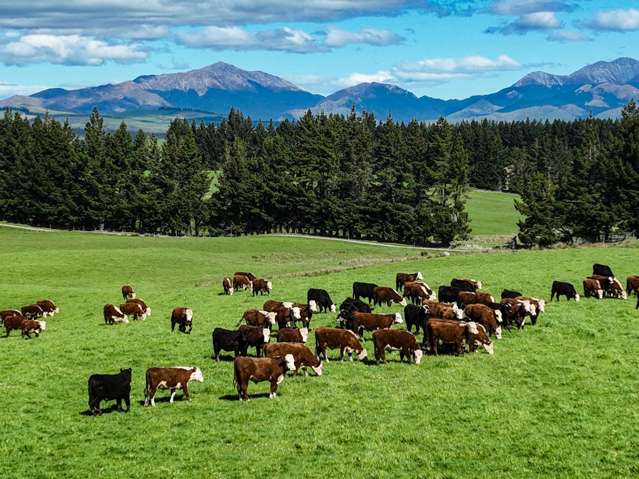 412 Kakapo Road Te Anau_2