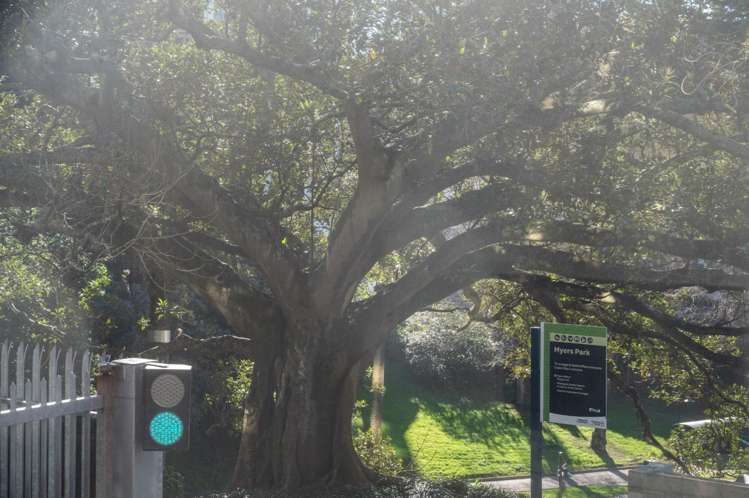 201/7 Scotia Place Auckland Central_15