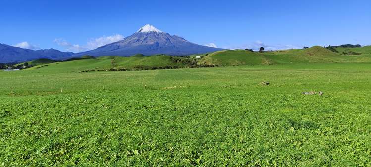 Parihaka Road Pungarehu_9