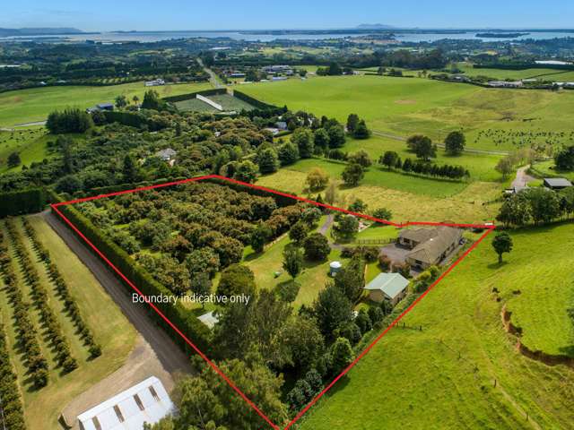 480a Youngson Road Whakamarama_1