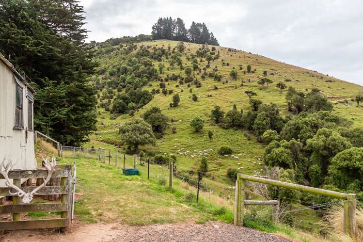 127 Frasers Road Pigeon Bay_23